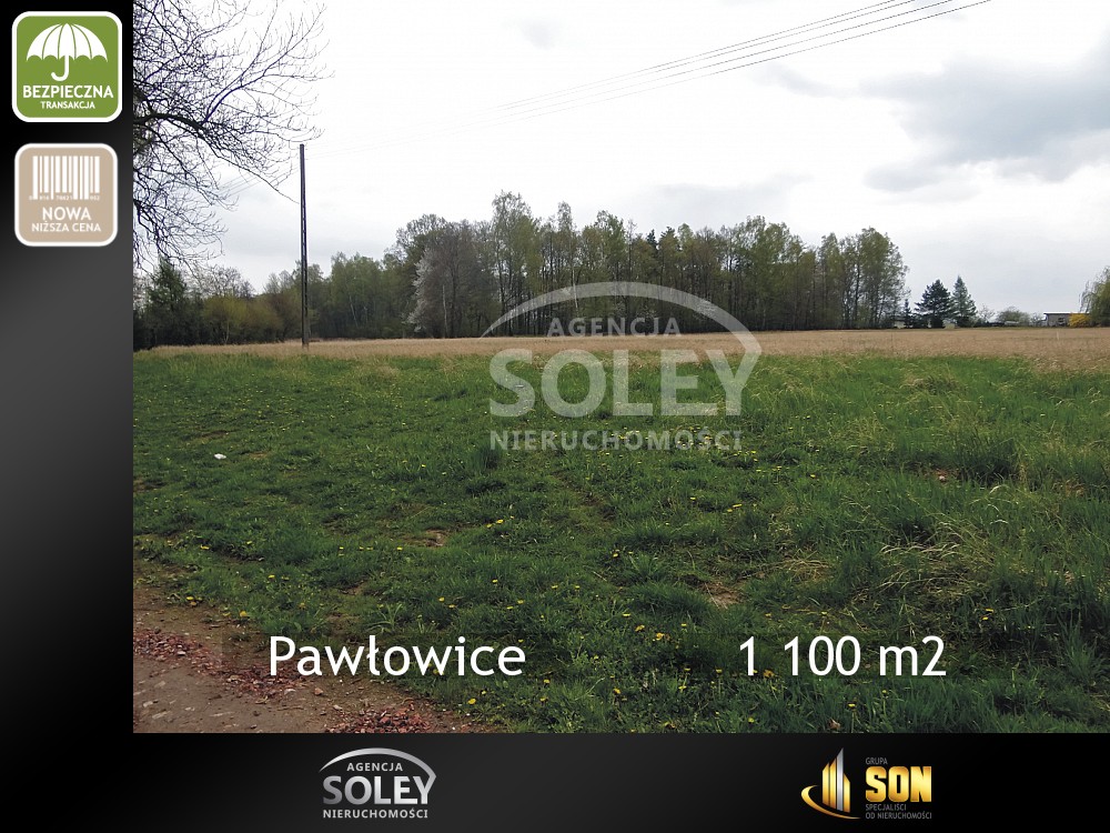 Nieruchomości: 1 100 m2
