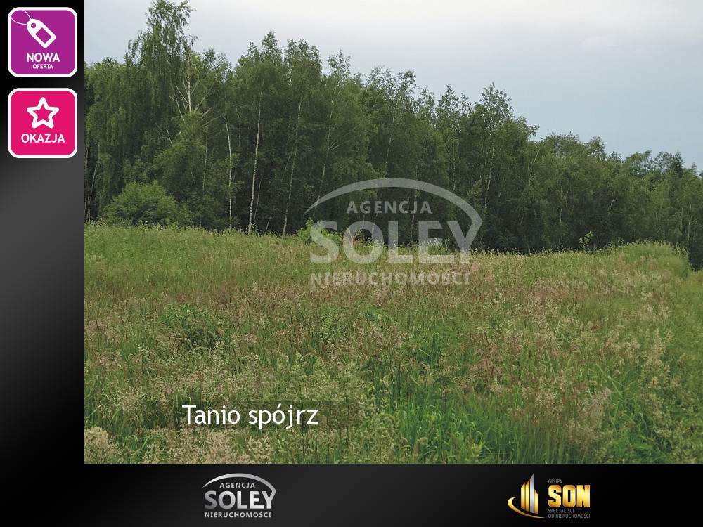 Nieruchomości: