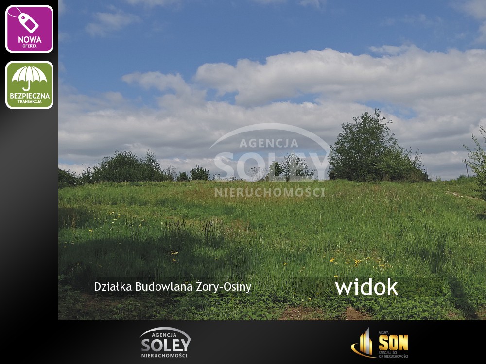 Nieruchomości: widok