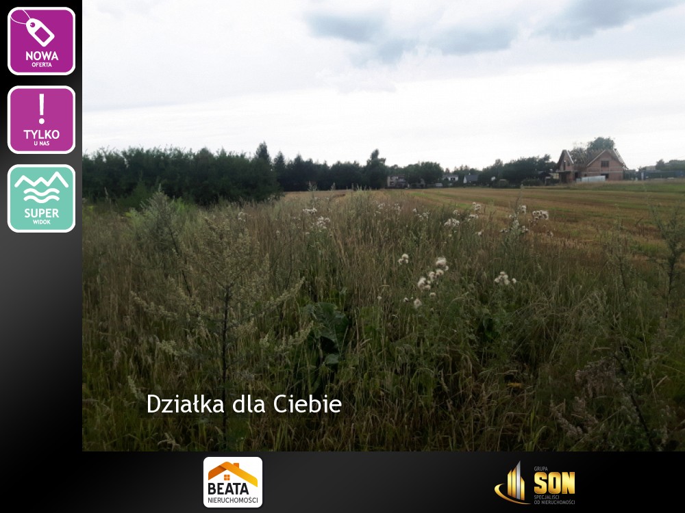 Nieruchomości: