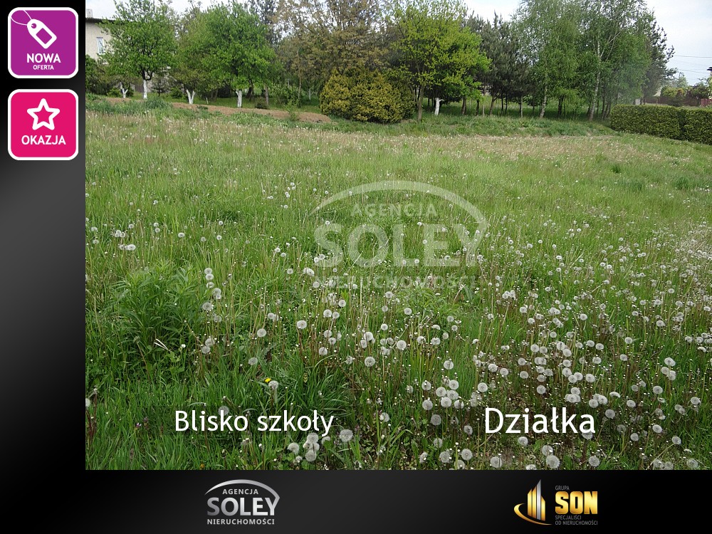 Nieruchomości: Działka