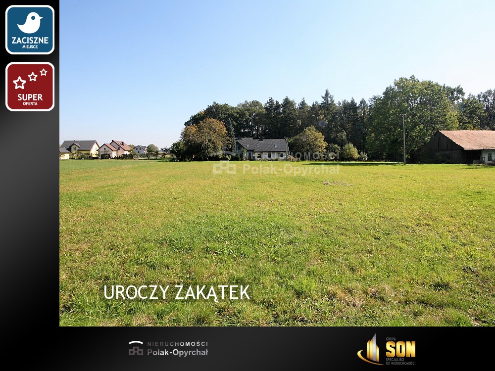 Nieruchomości: