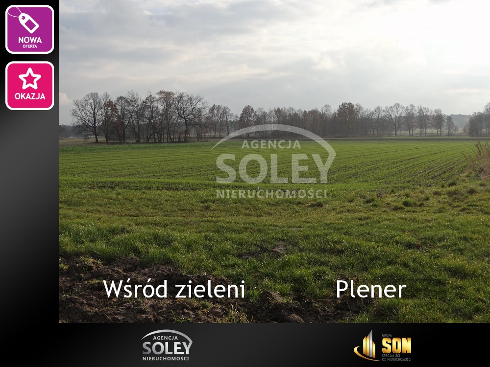 Nieruchomości: Plener