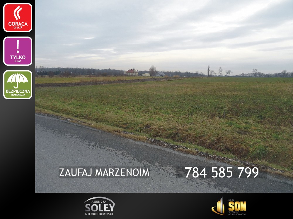 Nieruchomości: 784 585 799