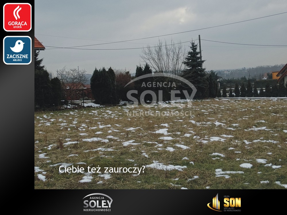 Nieruchomości: