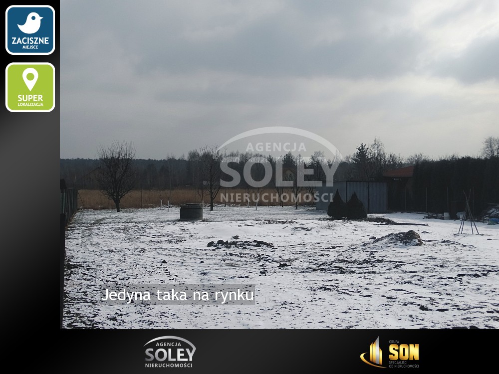 Nieruchomości: