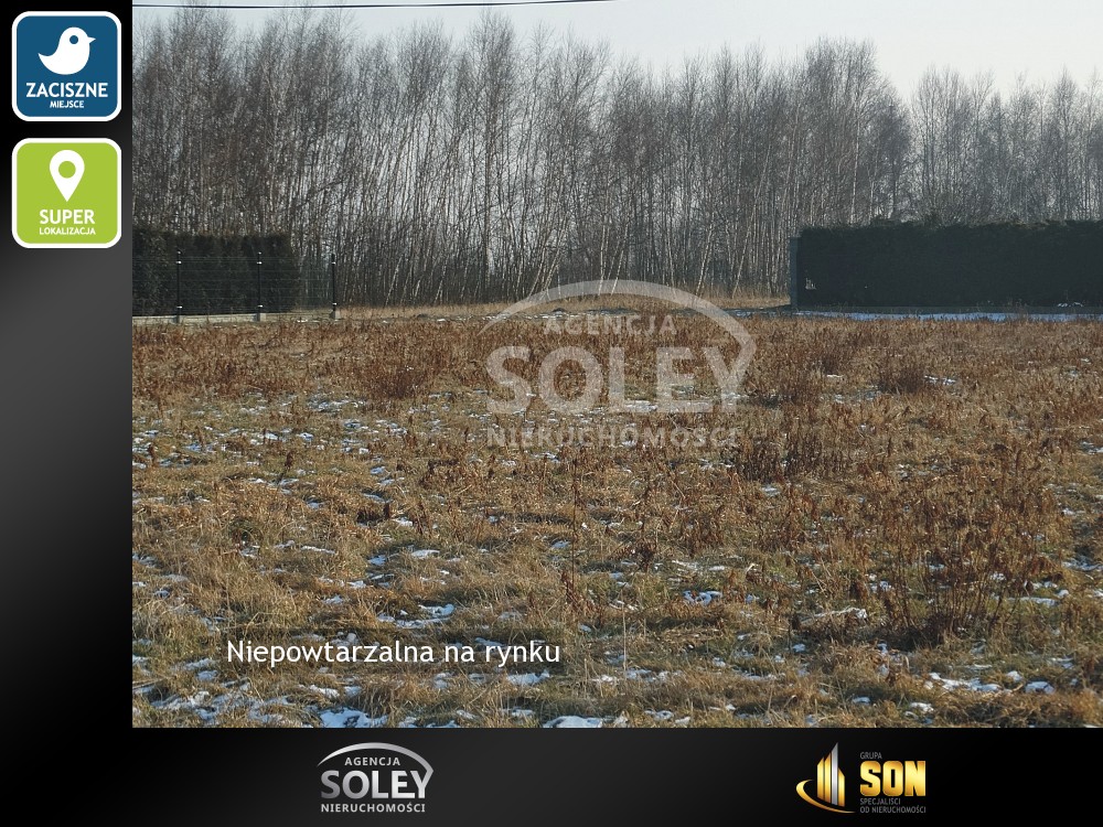 Nieruchomości: