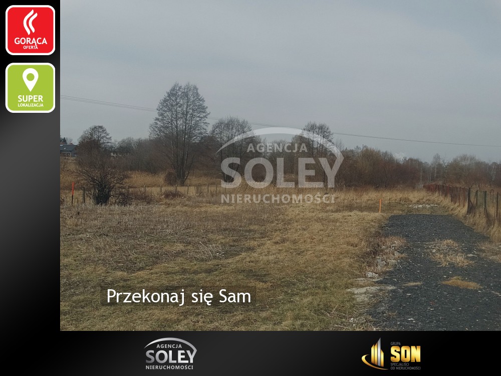 Nieruchomości: