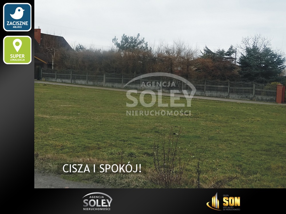 Nieruchomości: