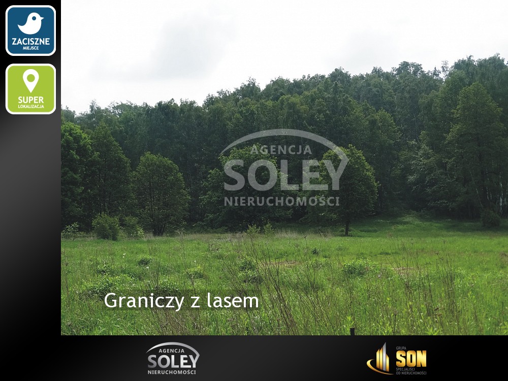 Nieruchomości: