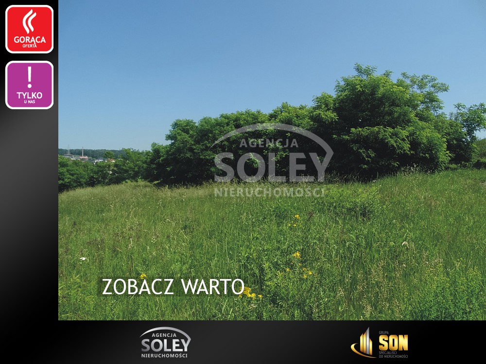 Nieruchomości: