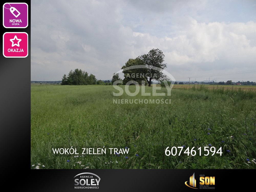 Nieruchomości: 607461594