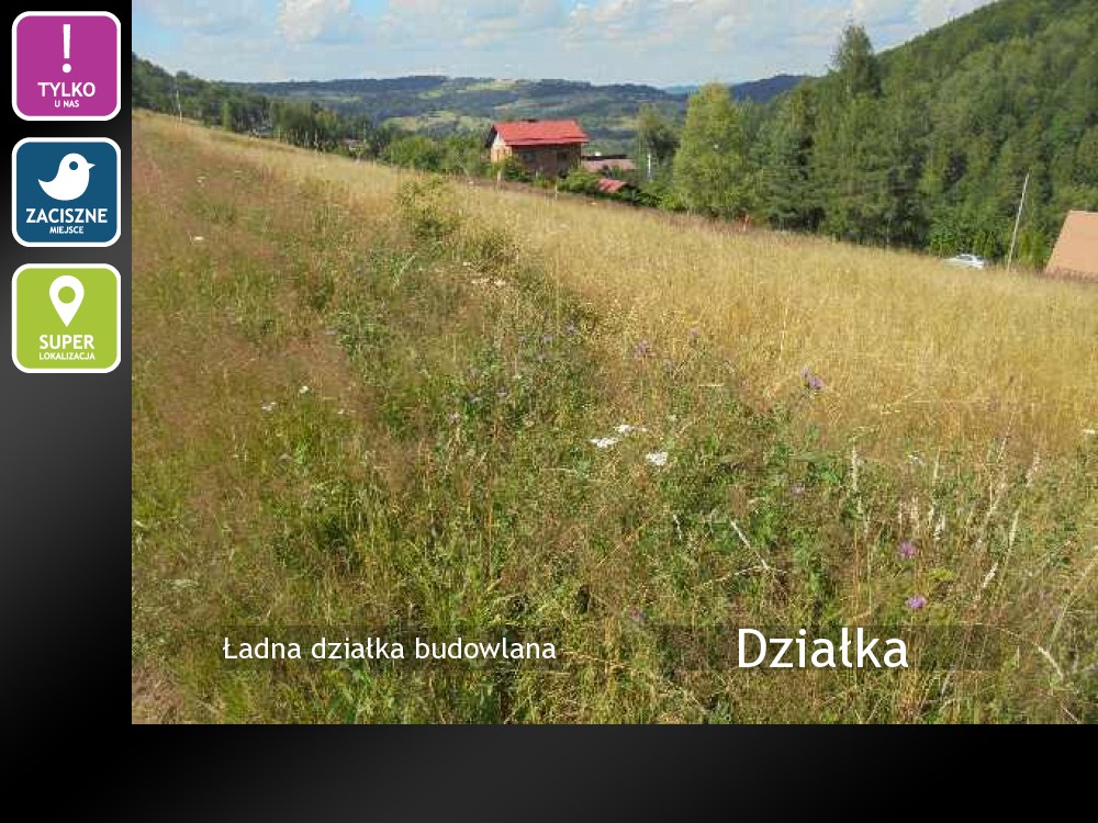 Nieruchomości: Działka