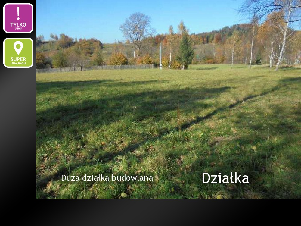 Nieruchomości: Działka