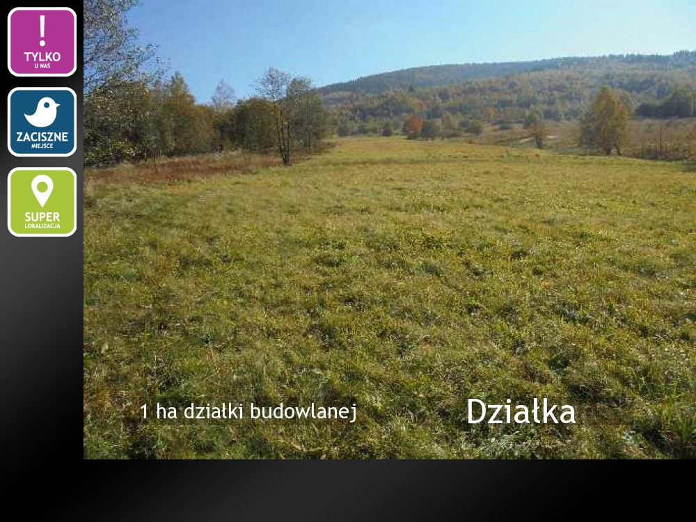 Nieruchomości: Działka