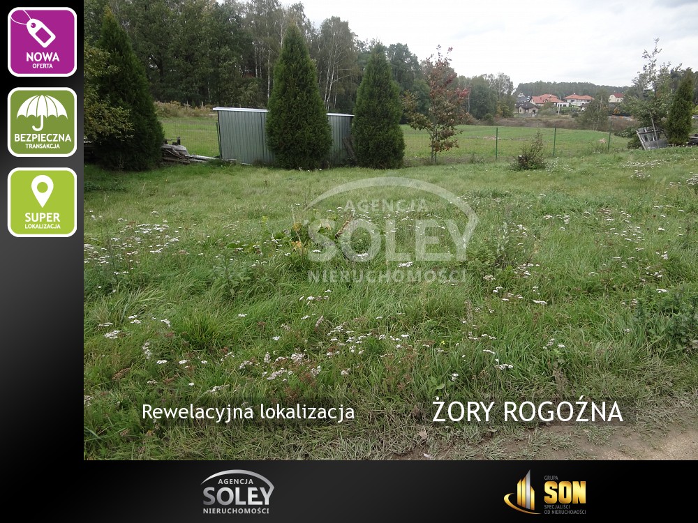 Nieruchomości: ŻORY ROGOŹNA
