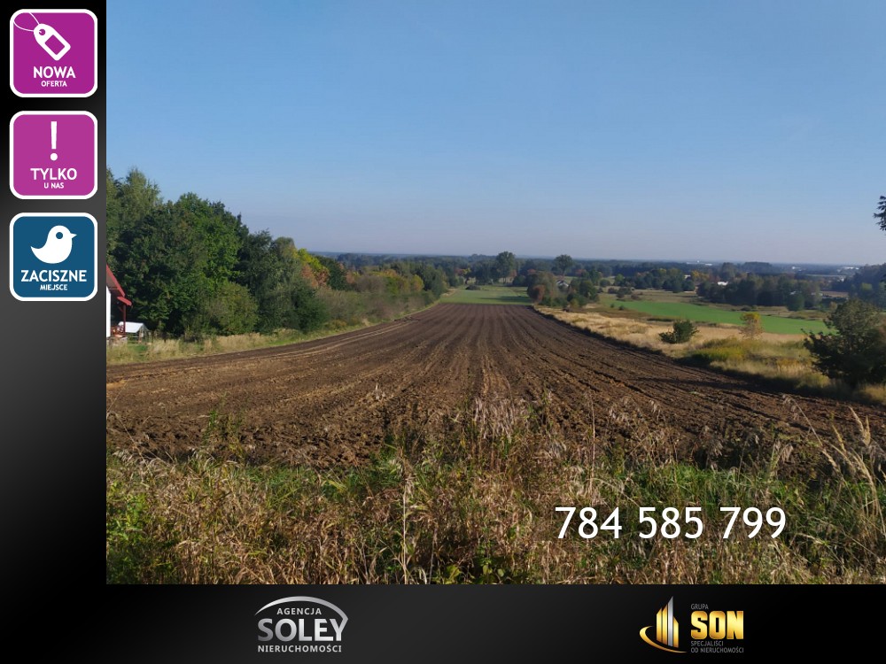 Nieruchomości: 784 585 799