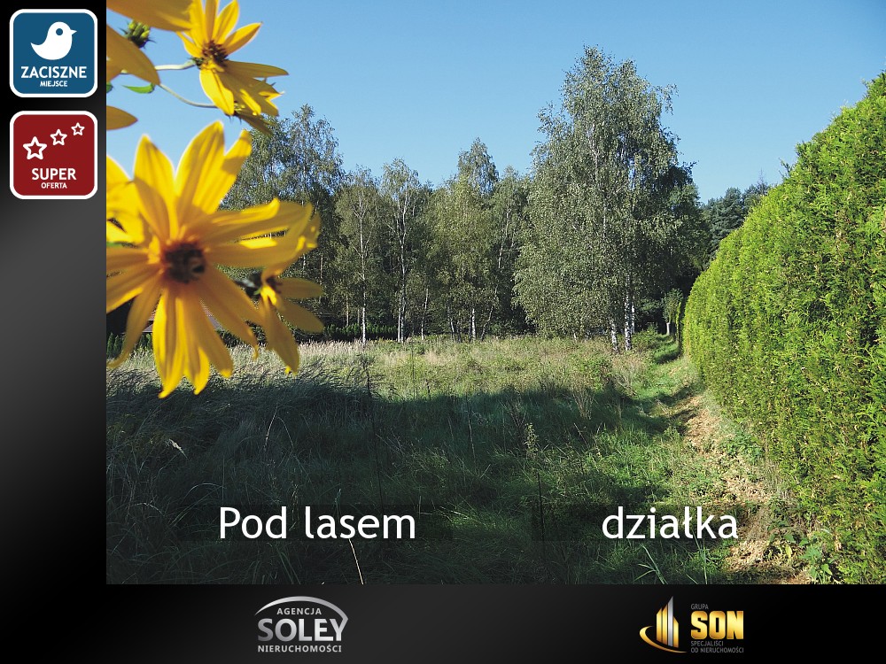 działka