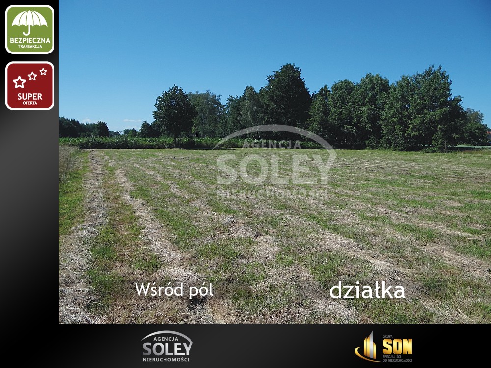 działka