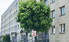 Mieszkanie na sprzedaż - Żory