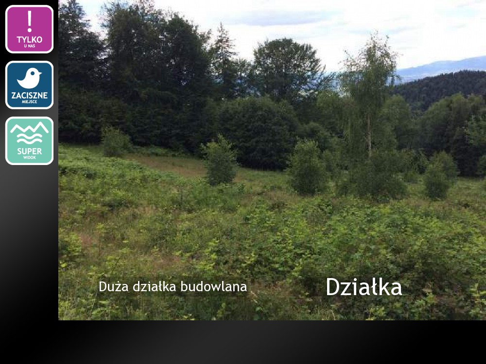 Nieruchomości: Działka