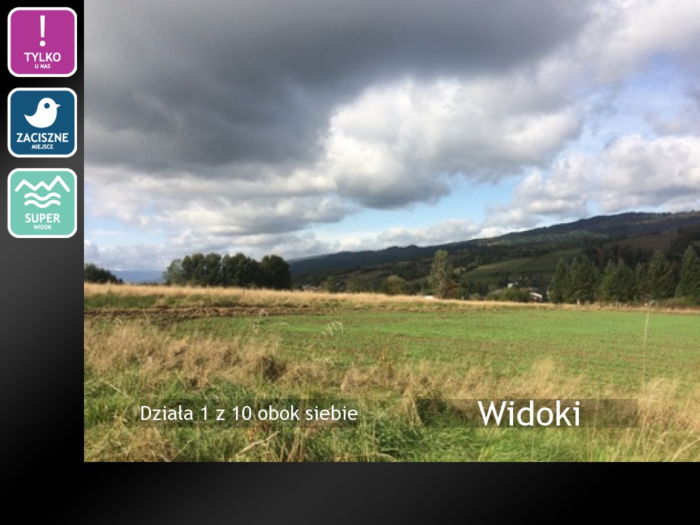 Nieruchomości: Widoki