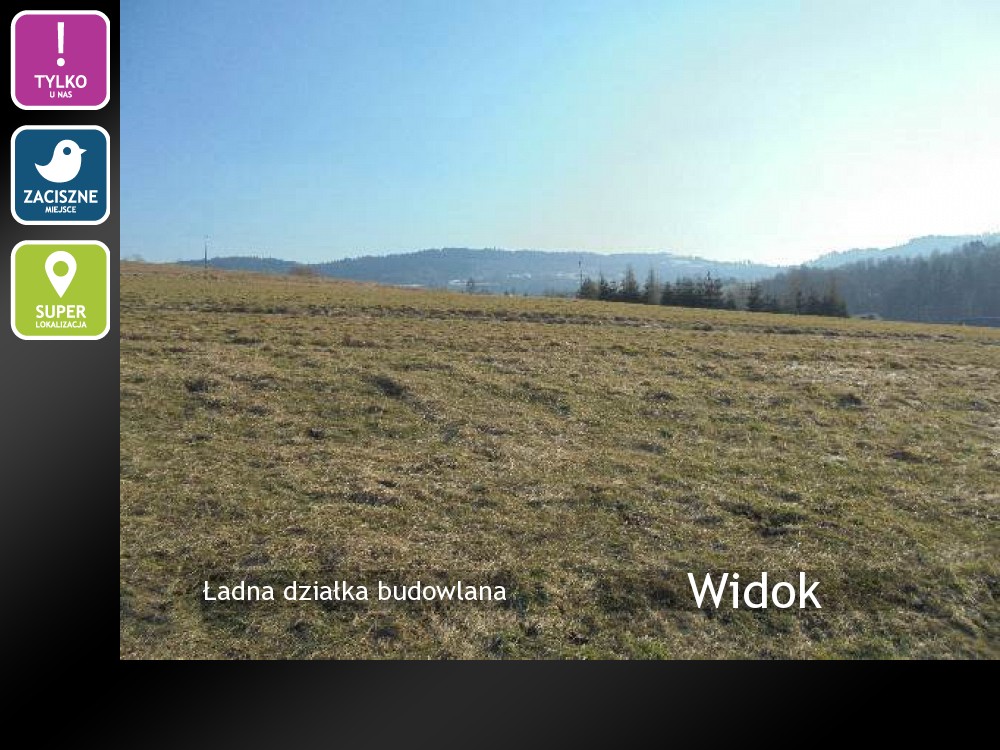 Nieruchomości: Widok