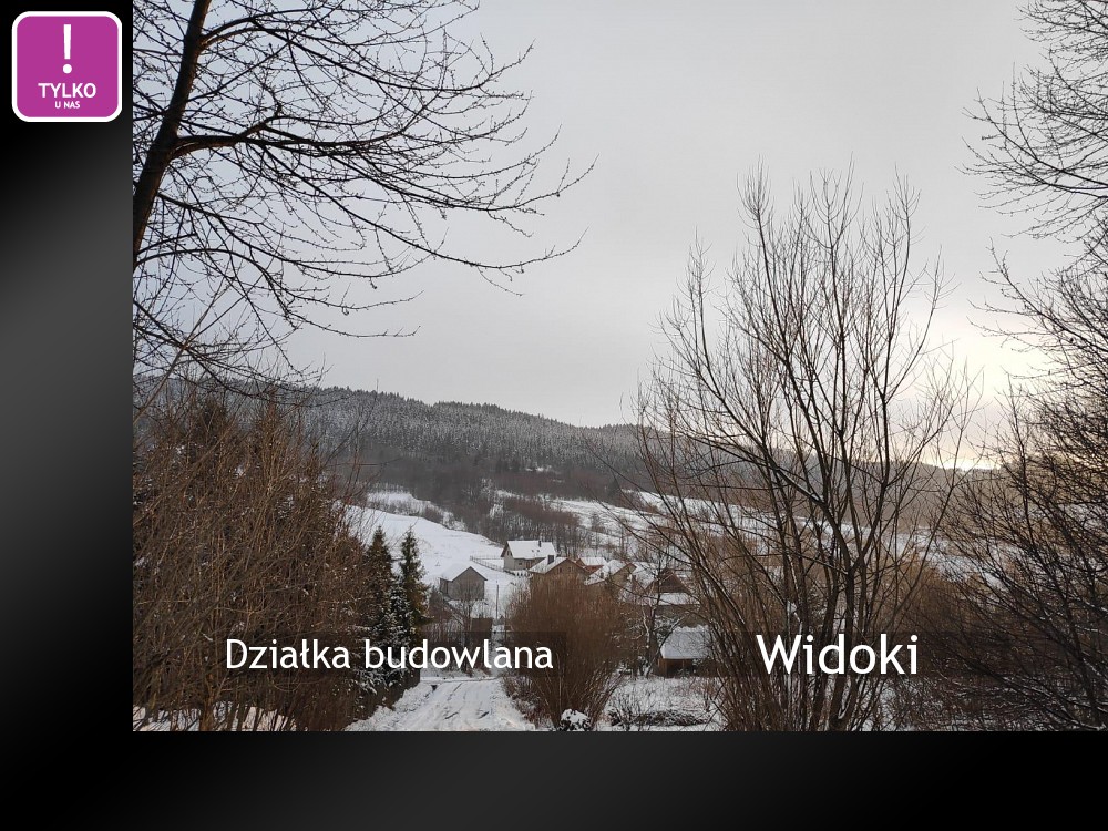 Nieruchomości: Widoki