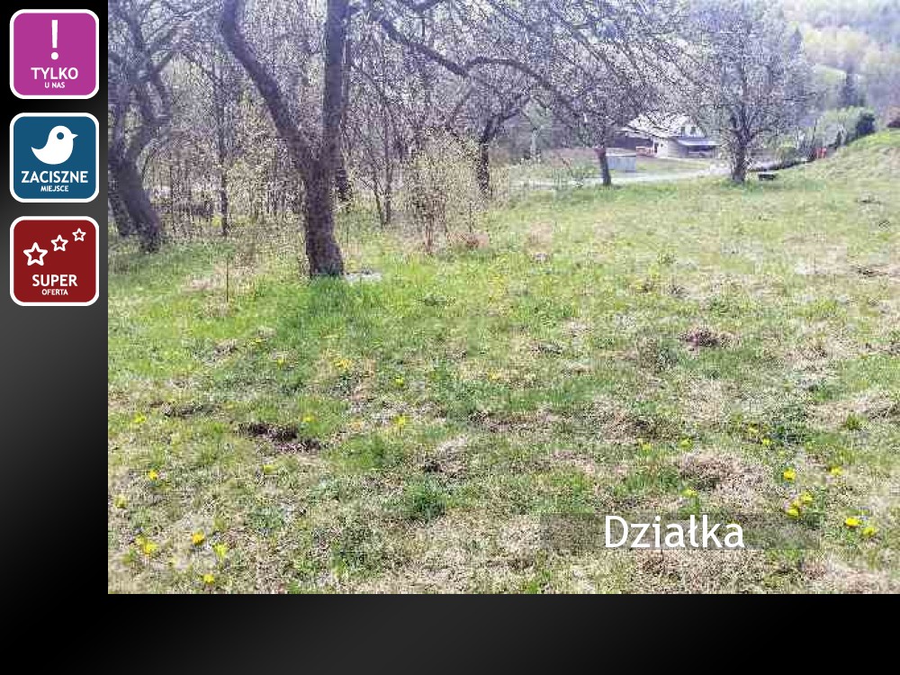 Nieruchomości: Działka