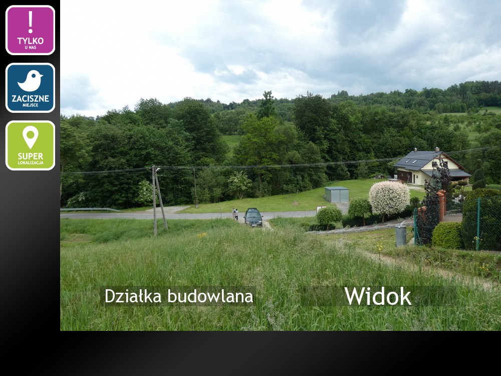 Nieruchomości: Widok