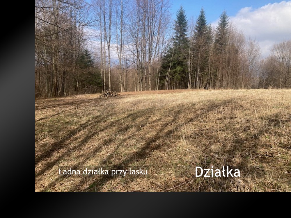Żywiec - Sprzedaż działki