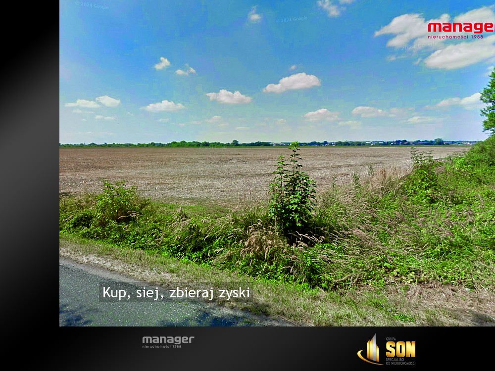 Nieruchomości: