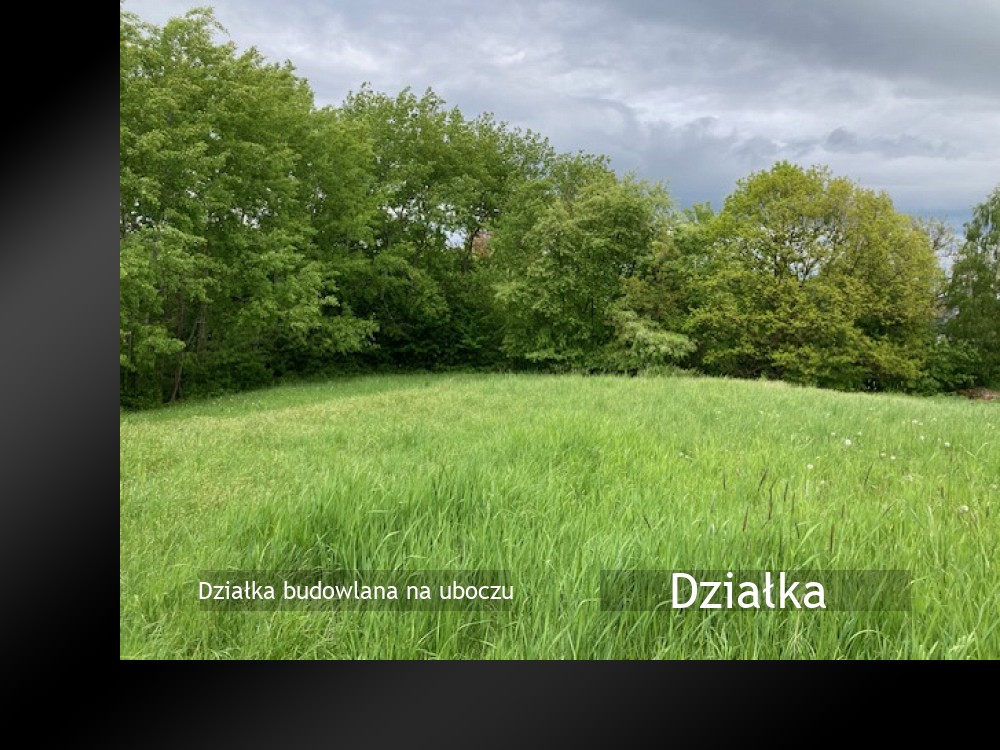 Bierna - Sprzedaż działki
