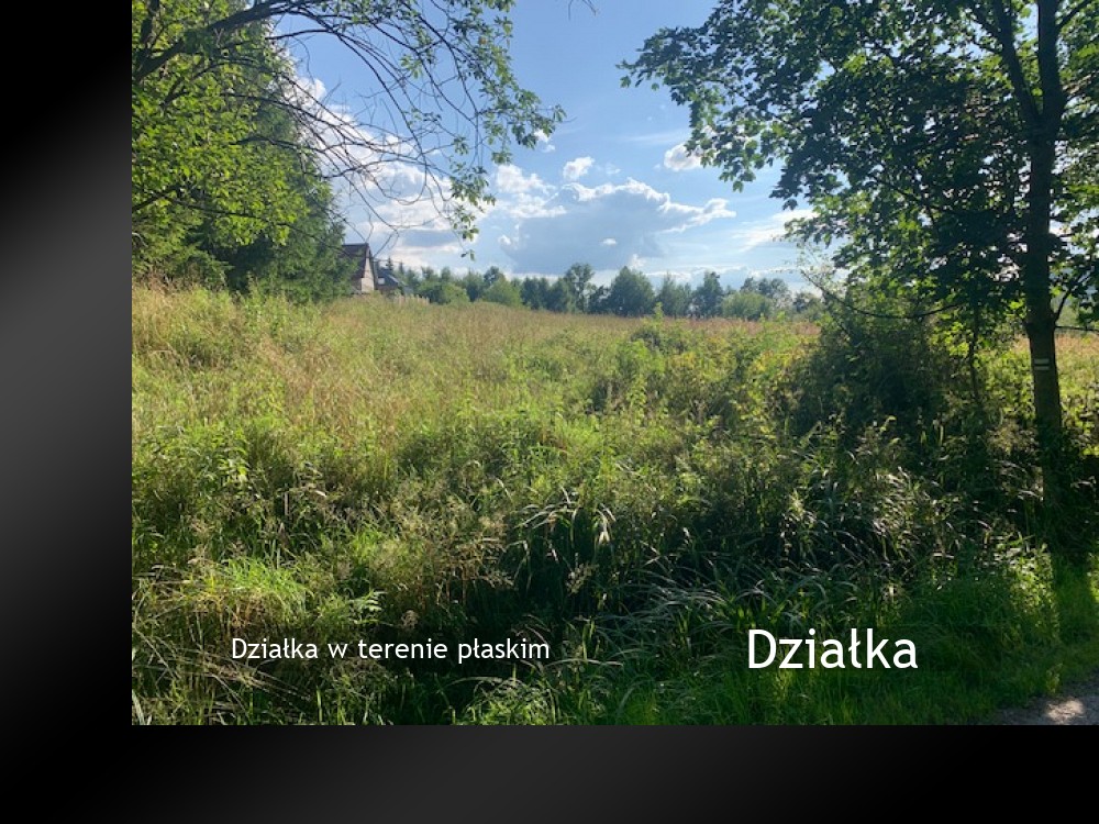Nieruchomości: Działka