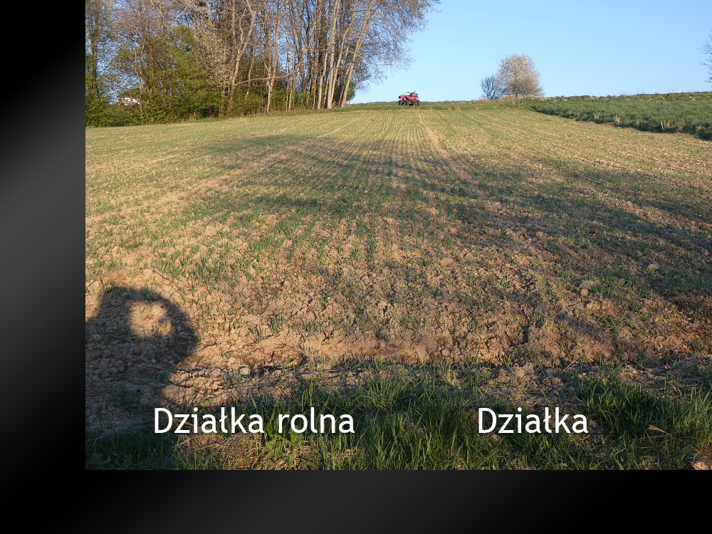 Nieruchomości: Działka 