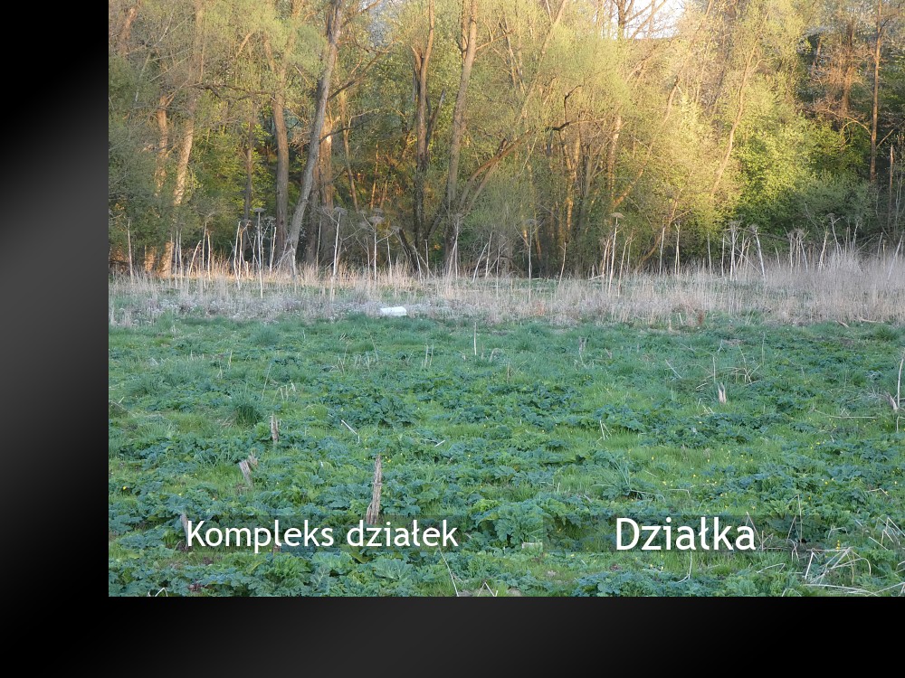 Nieruchomości: Działka
